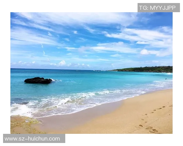 杭州极限运动队快攻策略解析与热点动态探讨