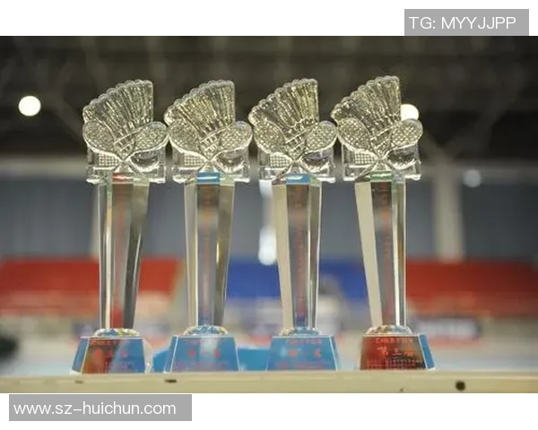 深圳羽毛球队耐力训练的深度分析与提升策略探讨